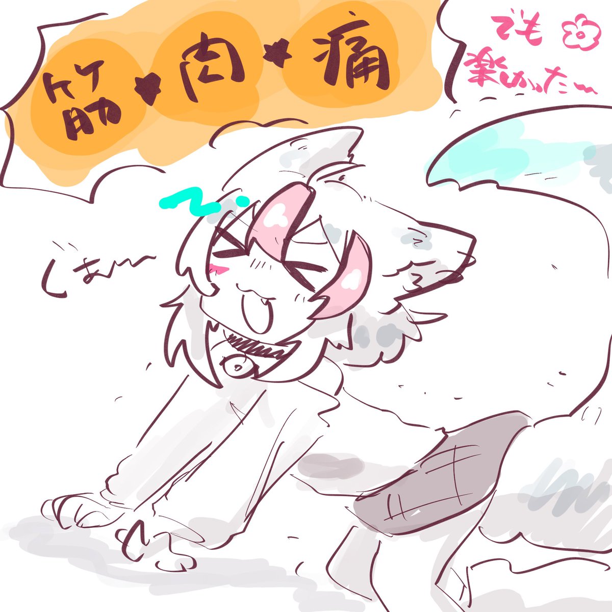 白音あらく🐺🐾 tweet media