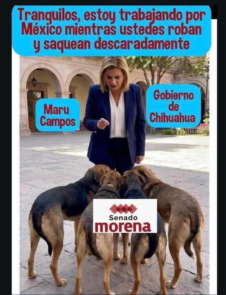 Chrizul López tweet media