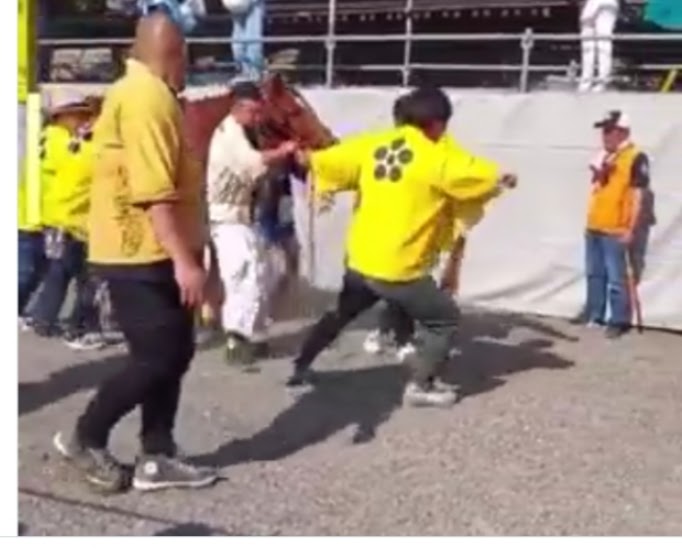 3年前、メルズーガは急坂坂道を走らされ、脚を取られて骨折しました　その脚で無理矢理歩かされました　どれだけ痛くて泣き叫びたかったかと思うと胸が痛む
祭馬に対して敬意も感謝が微塵も感じられない神事…
誰一人として彼に寄り添う者はいなかった現実が悲しいです

#上げ馬
#メルズーガ