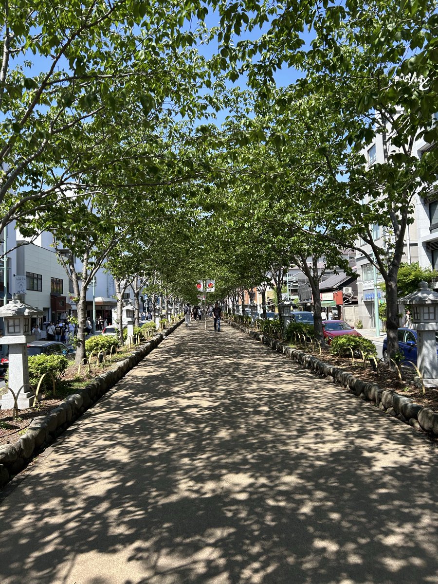 ruriusuda's tweet photo. アートマーケット『アトマト』in鎌倉
4日目オープンしています🌿
画像3枚目はすぐ側の鶴岡八幡宮の参道です。木漏れ日が気持ち良い
　
#イラスト #アートマーケット #イラストグッズ https://t.co/fadizGPnmG