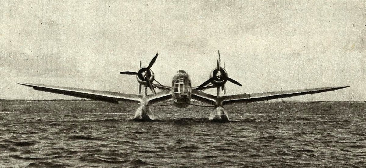 仏 Loire-Nieuport 10
6人乗りの長距離索敵水上機。仏海軍の‹Hydravion éclaireur de combat›（水上戦闘偵察機）計画に応え魚雷2本、または1200kgの爆装が可能。1939年7月21日に初飛行を遂げるが年末に海軍が陸上機の使用を決定、本計画は中止に。翌年、独軍により破壊された。全1機。