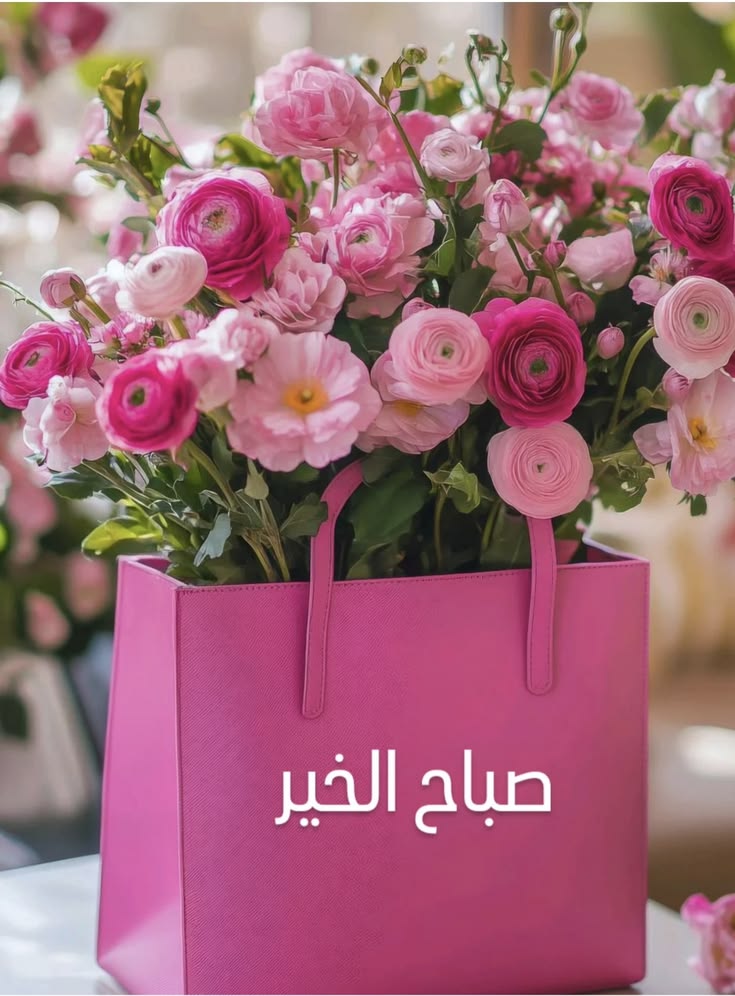 لـــــ🤍ـــــولي tweet media
