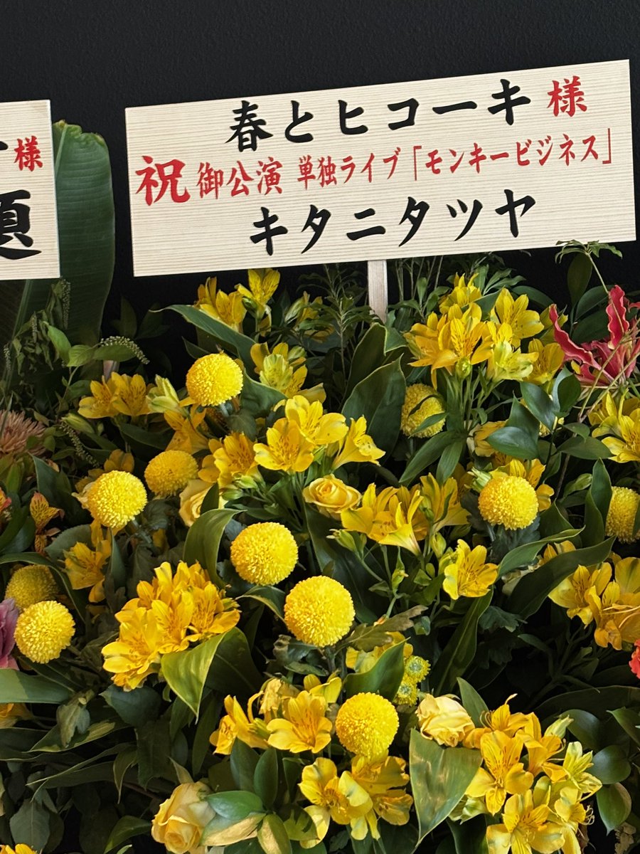 IDYE9H3rZD5HQUf's tweet image. 初めて芸人さんの単独を見る

#春とヒコーキ
#MONKEYBUSINESS