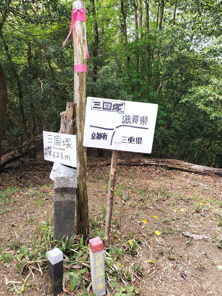 デデ tweet media
