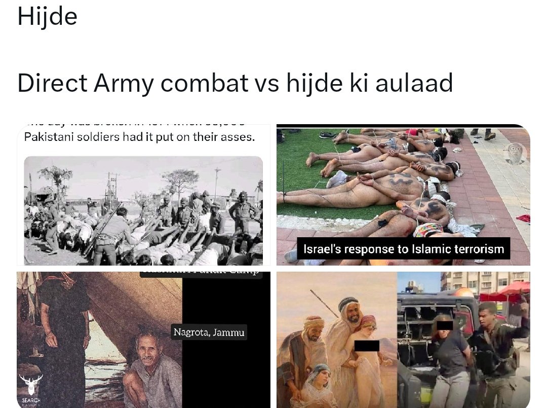 StrayDogFreeIndia tweet media