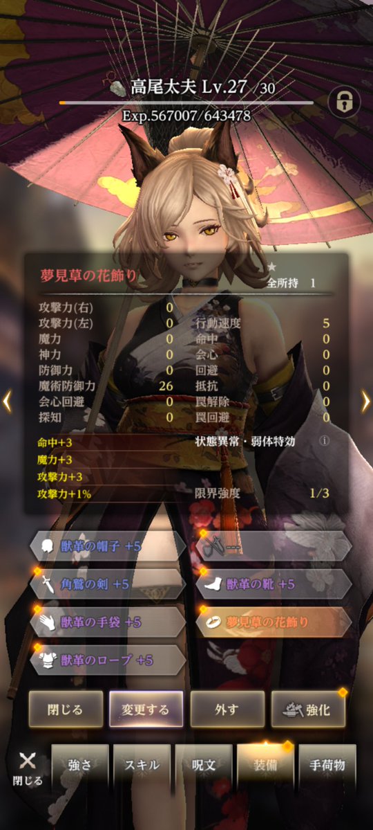 おやぁ?いつの間にこんな装備
(アクセサリー)引いてた?