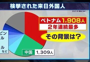 🎌Nyan 日本一☝️ tweet media