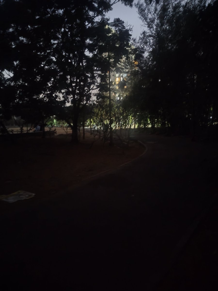 swiftblogs's tweet photo. Election over. Abdul kalam garden, hariom nagar, #mulund #mumbai back to darkness . Walkers using mobile lights . No security and full of  dogs @mybmcWardT @mybmc @BMCGarden @mulund_info @AshwiniBhide @mihirkotecha @PGANEWSMUMBAI @timesofindia @Dev_Fadnavis @mieknathshinde https://t.co/uj5SBBAJVC