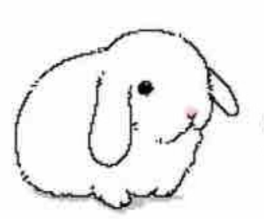 miu tweet media