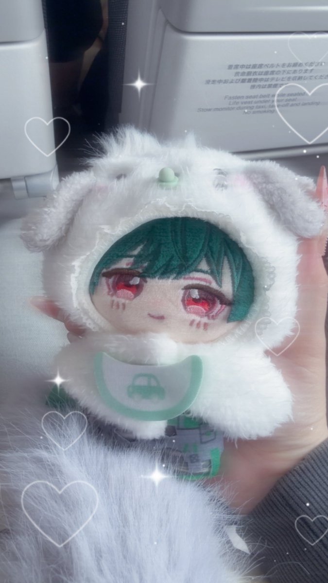 ひとりで飛行機乗るの怖いからぬいさん抱きしめる