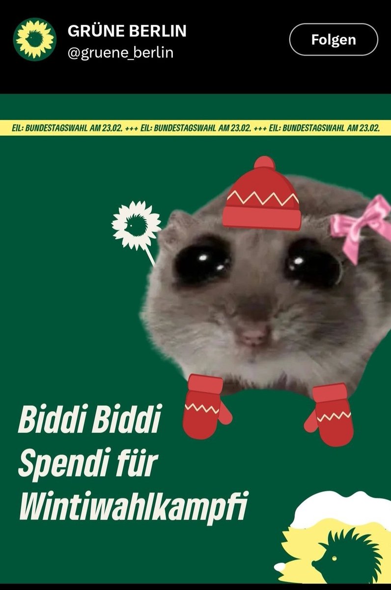 Amselfeder tweet media