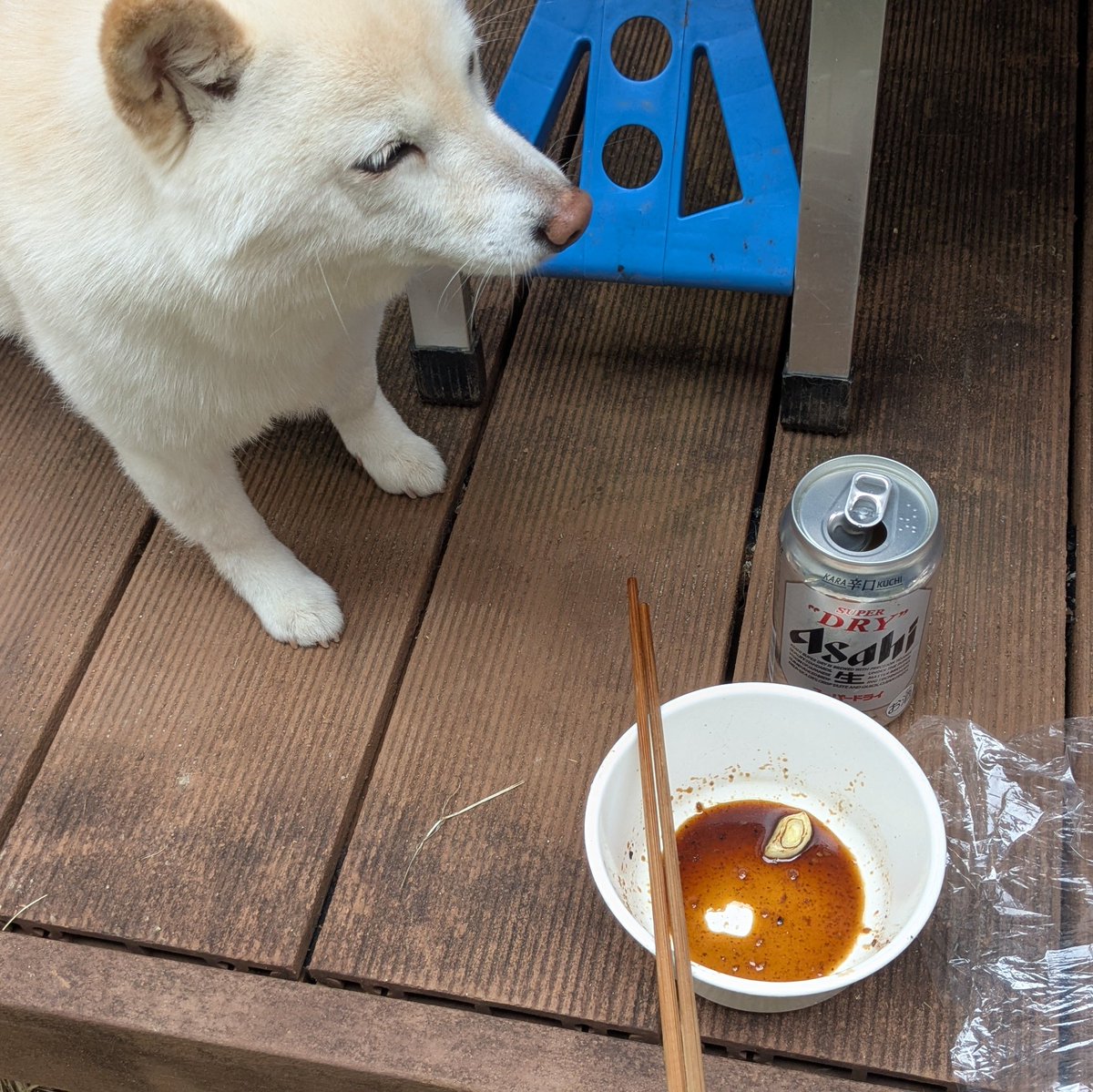 かめせんにん tweet media