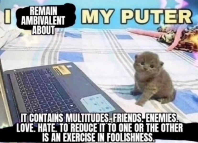Punch Cat tweet media