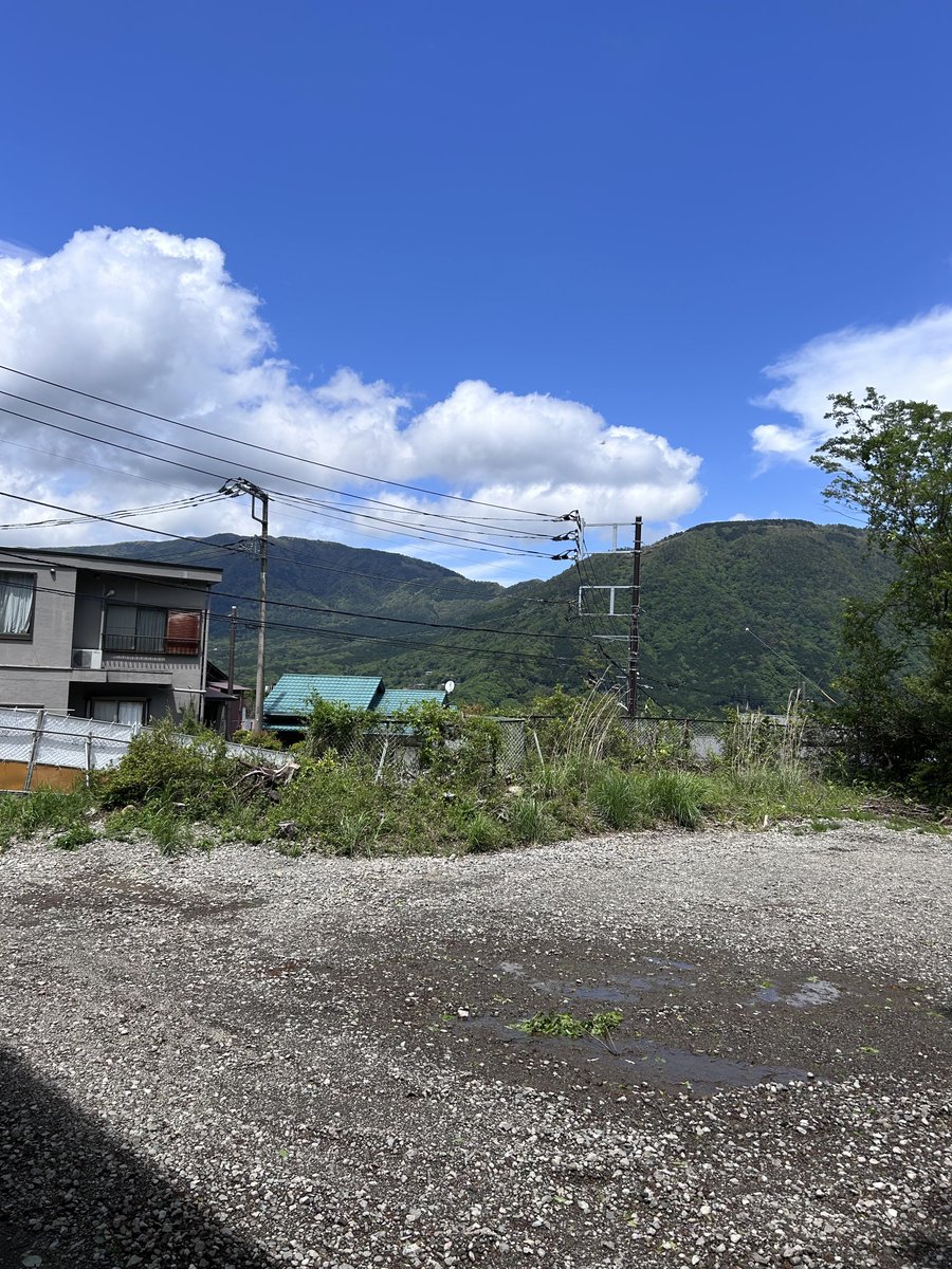 テラチオ tweet media