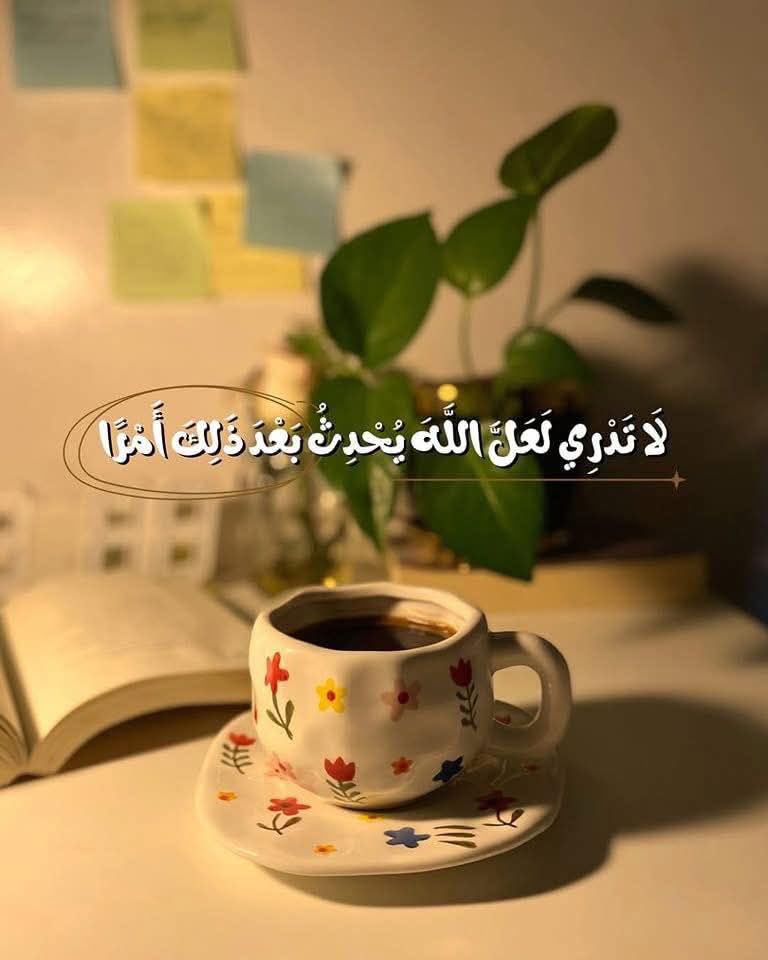 عادل علي بن علي tweet media