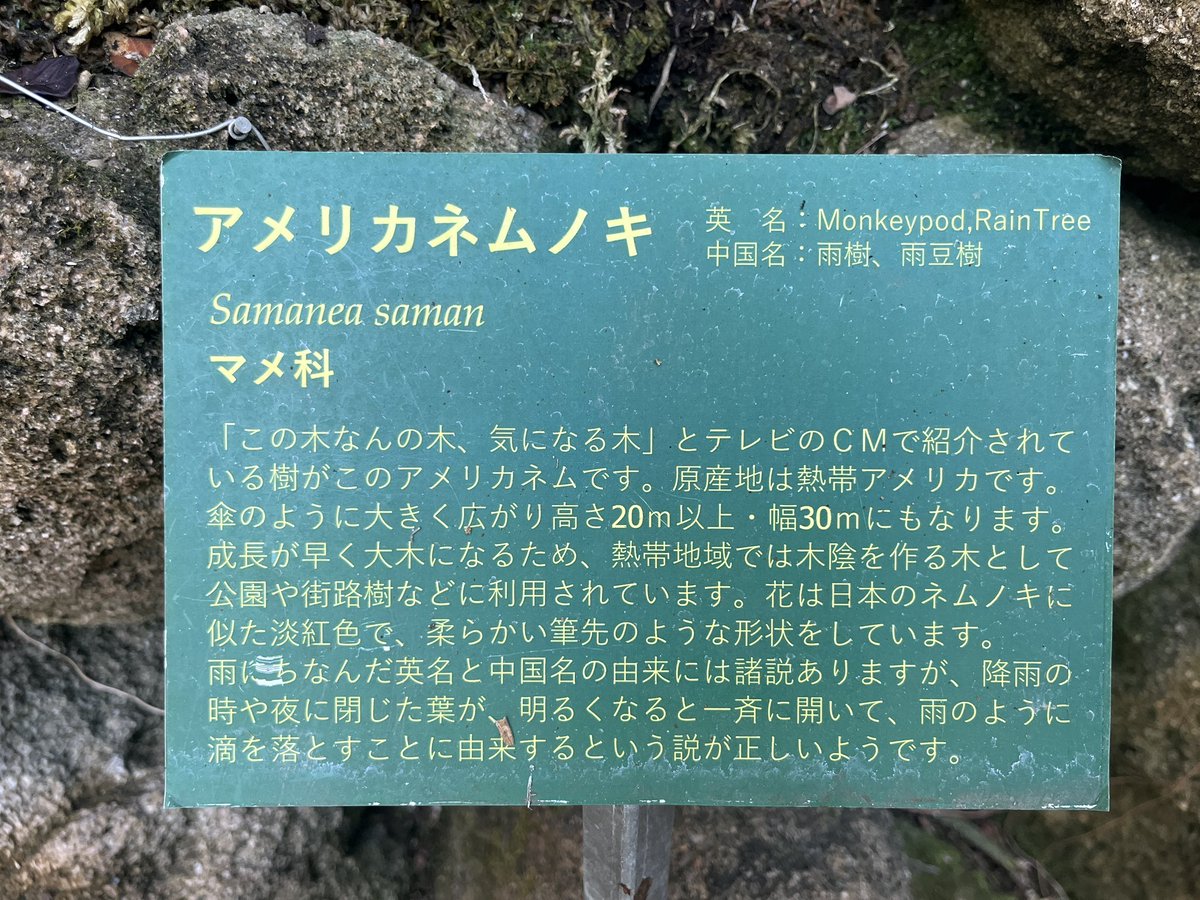 ふじふじい tweet media