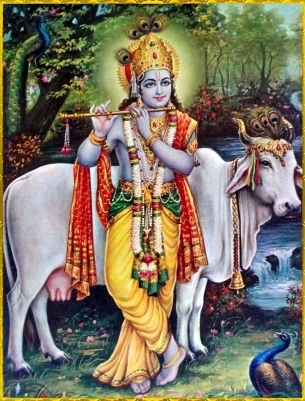 hourly krishna tweet media