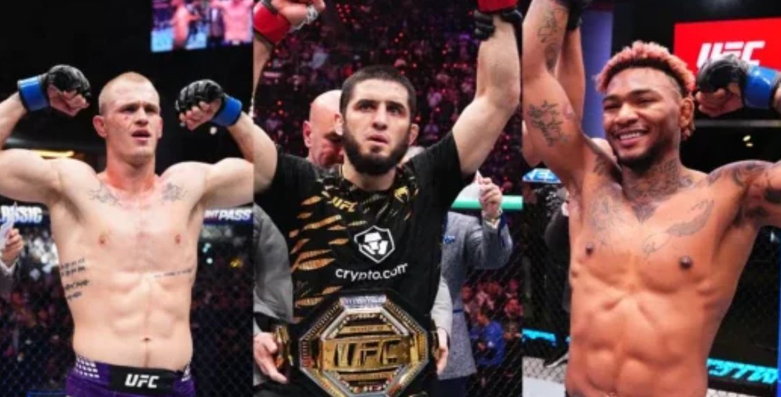 MMA FIXED tweet media