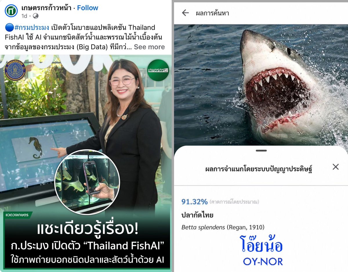 แม่กระต่ายพอพอ 🌼🌻 tweet media