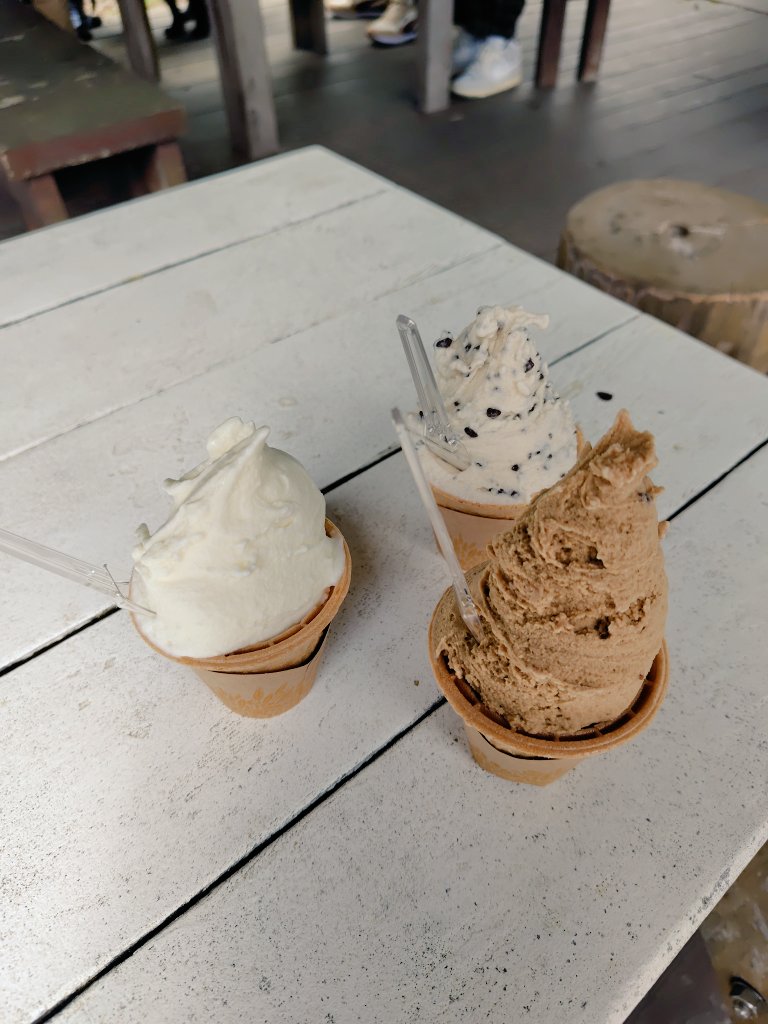 霊山牧場のジャージーで沖縄塩ミルク嫁さんマカデミアコーヒー娘チョコチップ🍨いただきました😋ごちそうさまでした