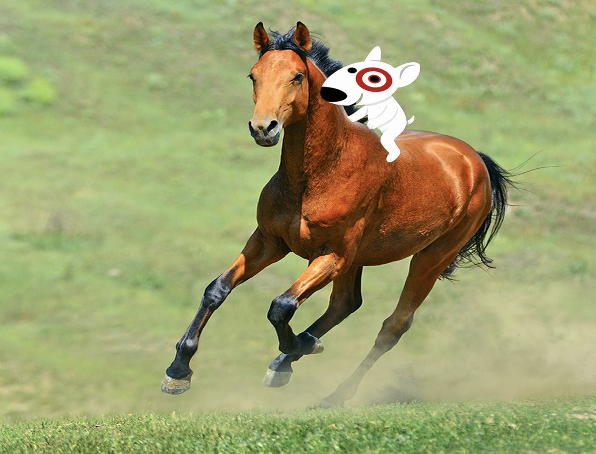 Not Bullseye tweet media