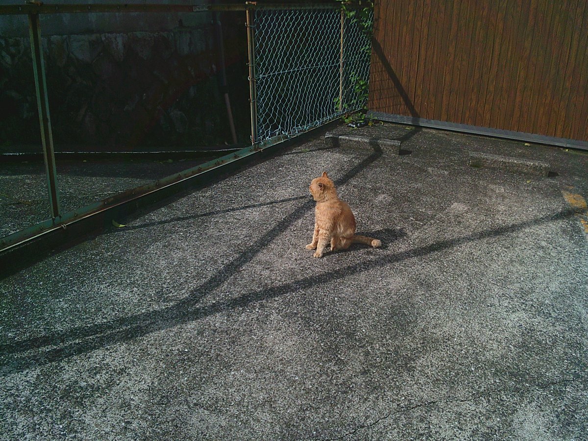 えんぴつ tweet media