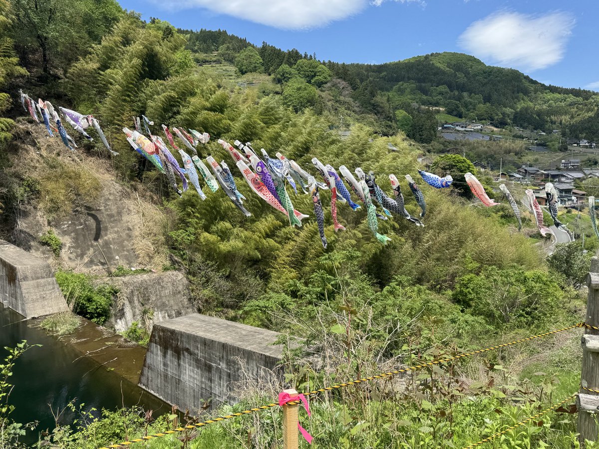 MSAK38's tweet photo. アダルト保育園とこいのぼりの里 https://t.co/gqf4wRVdcJ
