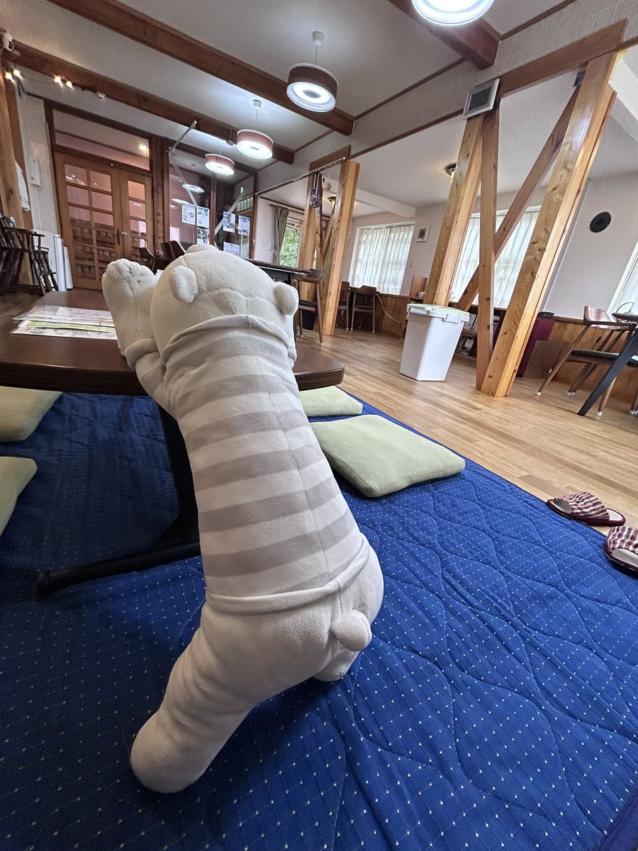 サイト🏔️Daisen Backpackers@大山ペンション村 tweet media