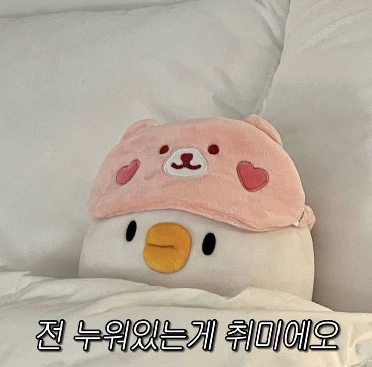 김하나 tweet media