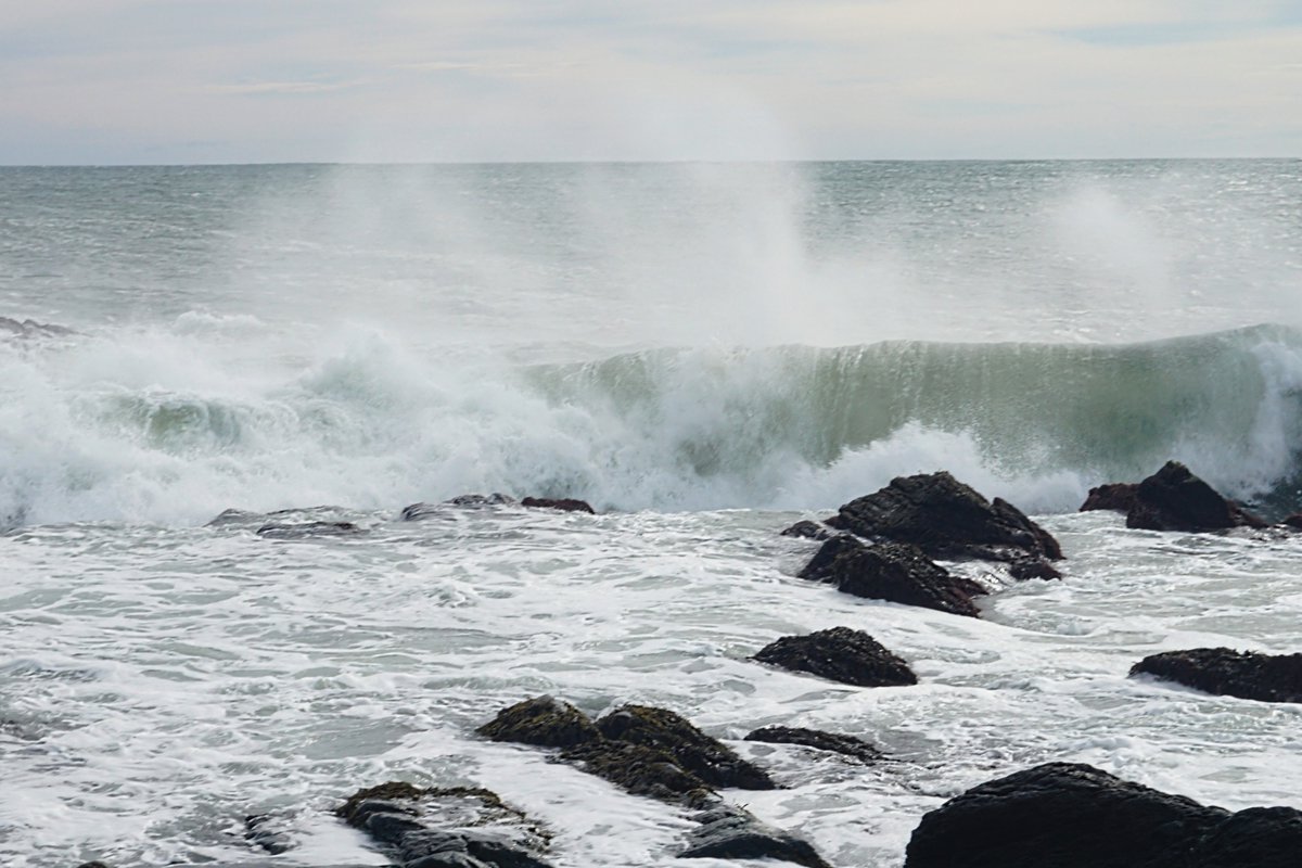 RobertDeFusco's tweet image. seascapes
#photography #blackandwhitephotography #monochrome #ocean #waves