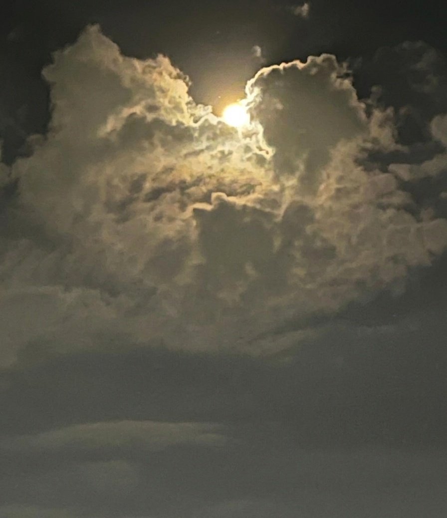 cori0911's tweet image. #Luna #Moon 🌕
#Caracas #Venezuela 🇻🇪