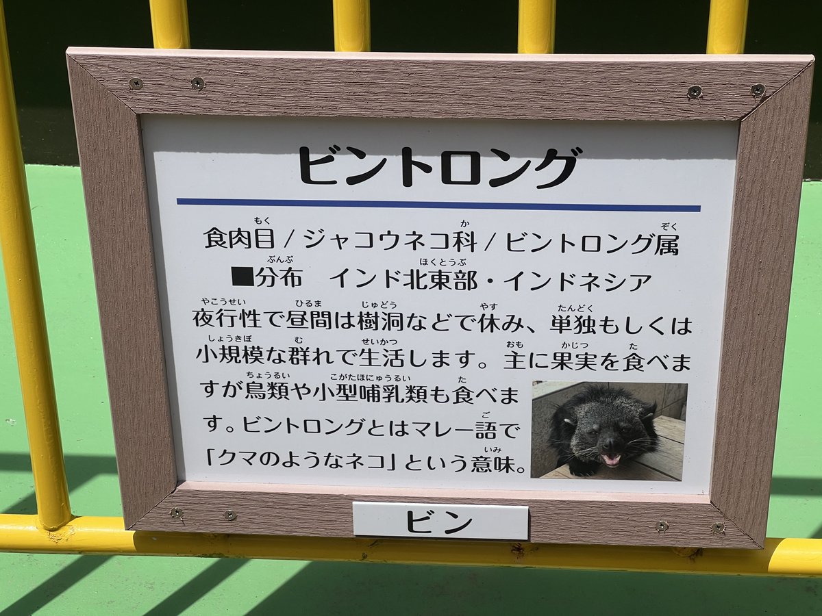 かざーな tweet media