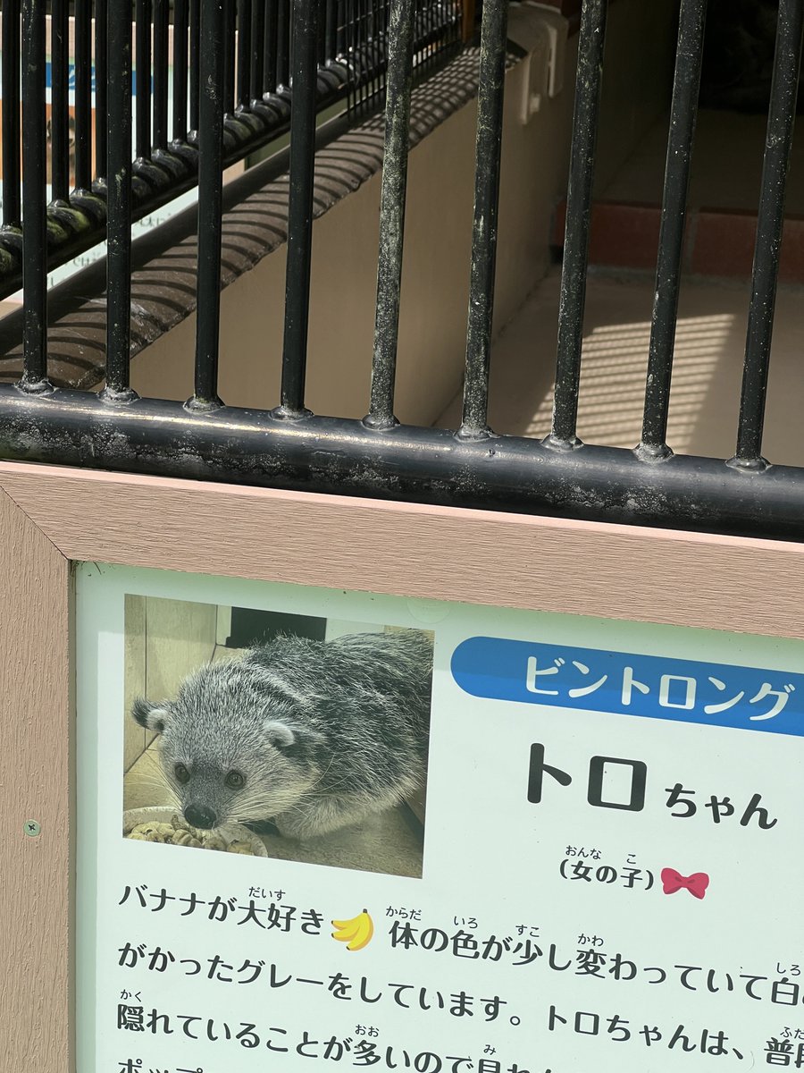かざーな tweet media