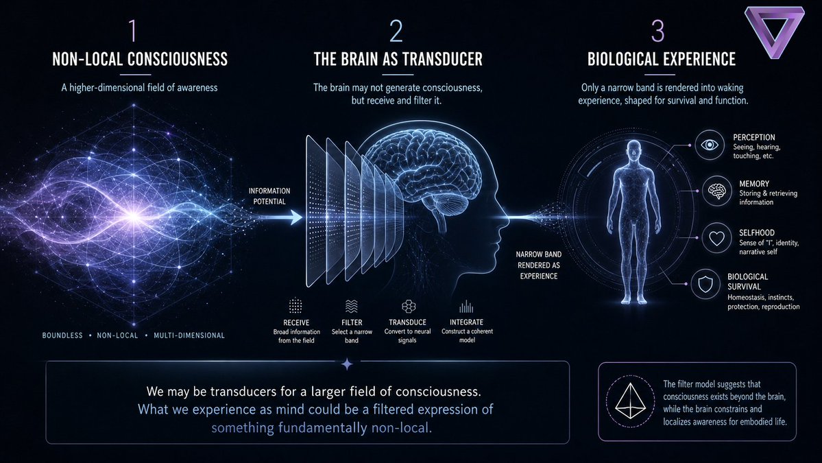 Tom Thompson🛸 (ＣＯＲＴＥＸ ＺＥＲＯ) tweet media