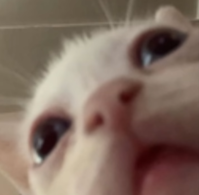 🌟Marcy HRT🏳️‍⚧️ 🌟 ❤️🧡🤍🩷💜 t4t swag tweet media