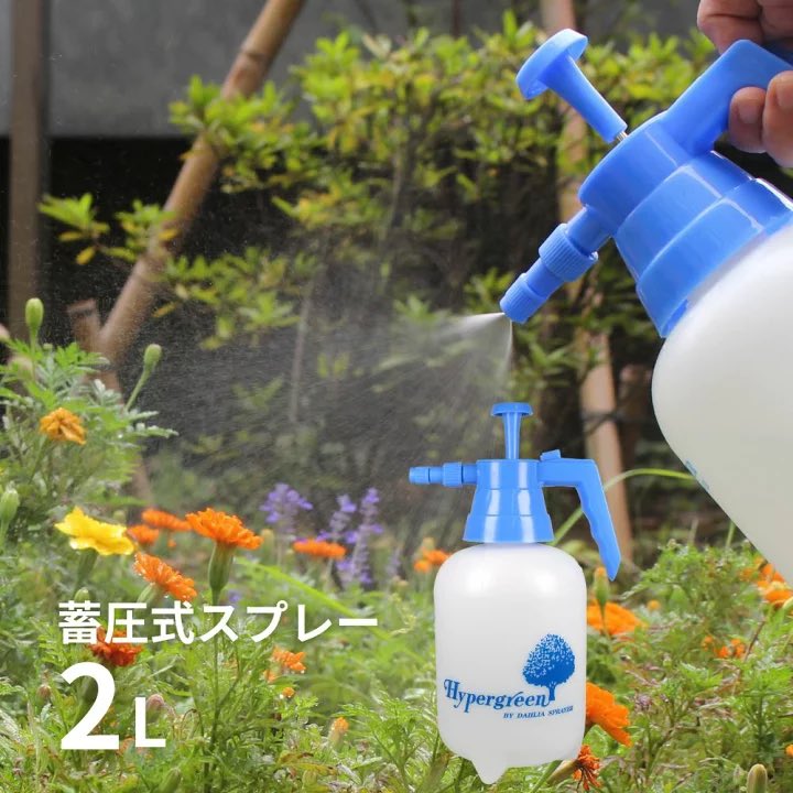 ケヘ tweet media