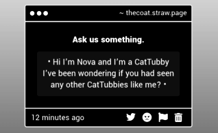 COAT. tweet media