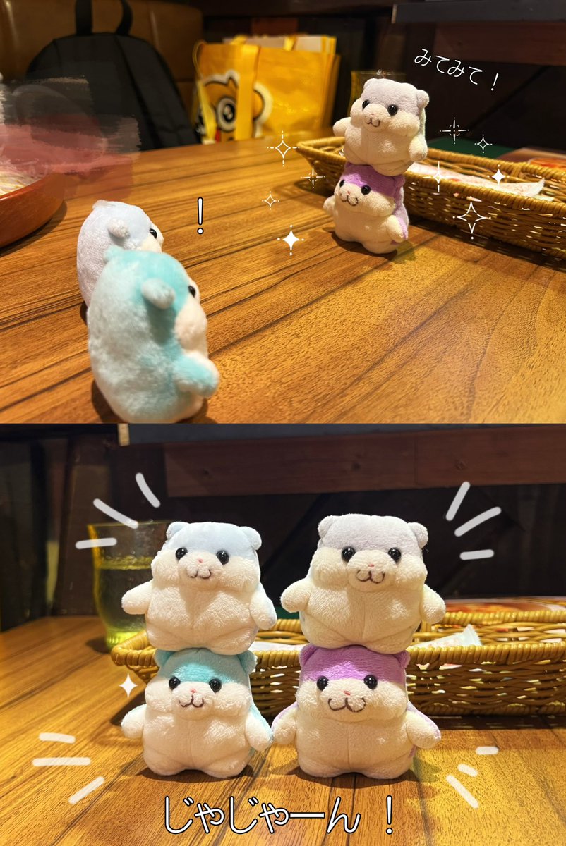 はなえさんから撮影でお借りしたハムちゃんを積んでみました🗼✨6匹！