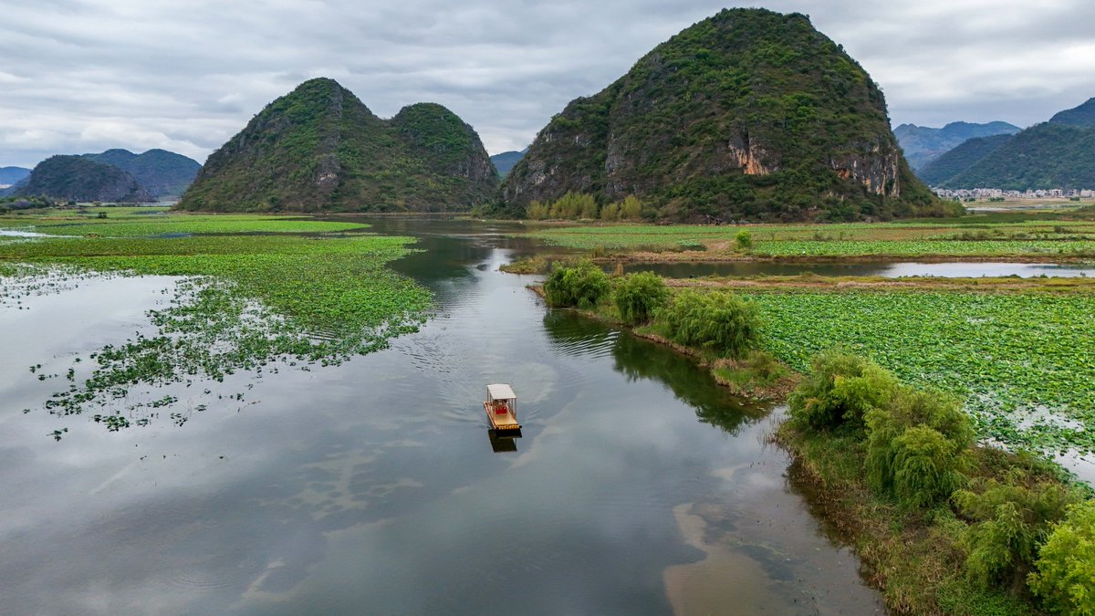 XisMoments's tweet image. Spring in Puzhehei, #Yunnan province, is more vibrant than ever. 🏞️ Driven by sustained ecological conservation, the region has seen remarkable growth in both the diversity and population of bird species in recent years. #EcoChina #Biodiversity