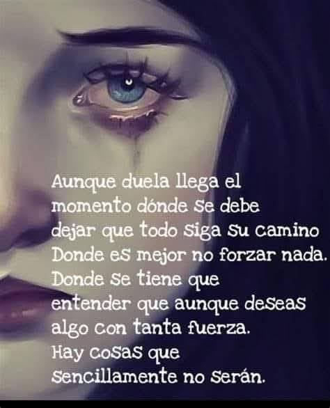 Ricardo Chávez Bruce (@rivialma) on Twitter photo 