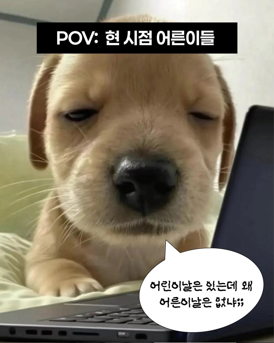 초록비 tweet media