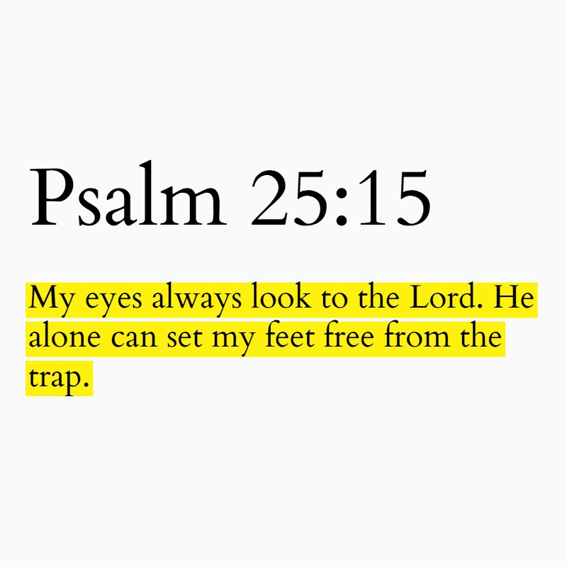 Holy Bible tweet media
