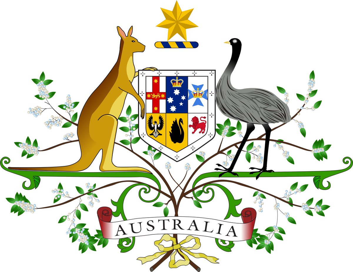 Kangaroo tweet media