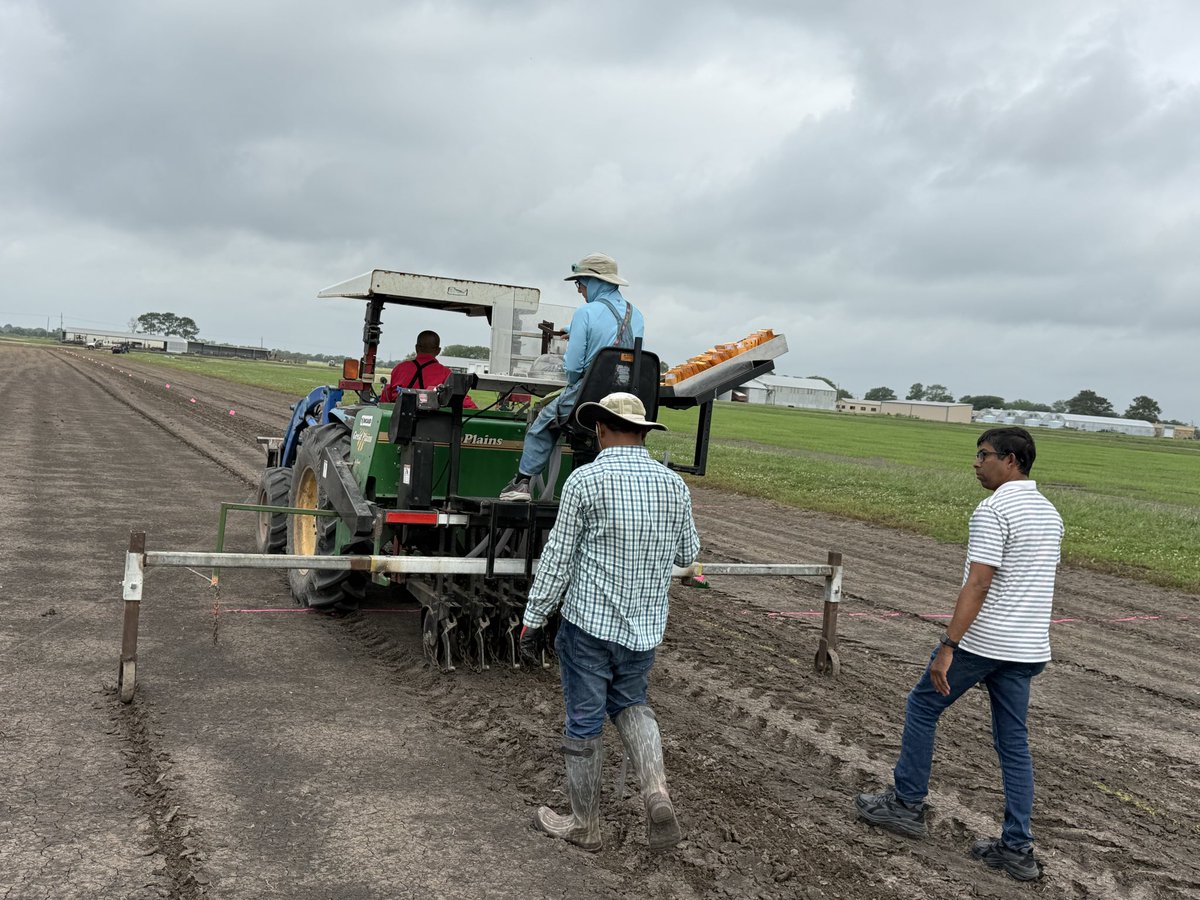 Gurjeet_AgSci's tweet photo. #ResearchUpdate2026 ๐บ๐ธ
April 29, 2026, planted 1136 plots (6 row 20ft) of #PYT (preliminary yield trial) @bel_agrilife @txresearch @AgriLife
Weather was extremely horrible but by Godโs grace we did it.
Always thankful to our #RiceTeam
#RiceBreeding #PlantBreeding #rice https://t.co/HNYXd1W4rT