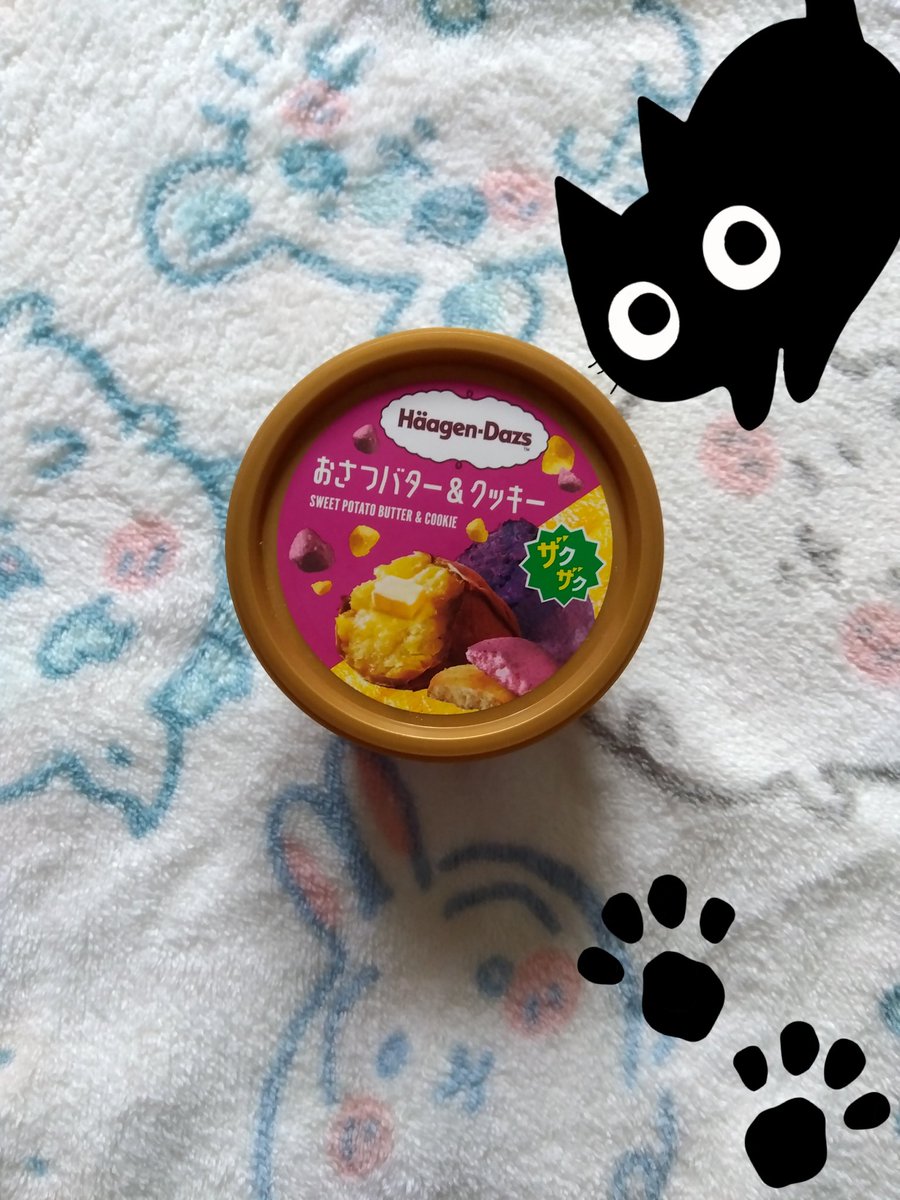 🌛よʓ ꩢ 🐈‍⬛ ͗️️🩵🐾🐯🍠☘️🌸🕊🍡🕸🐾 tweet media