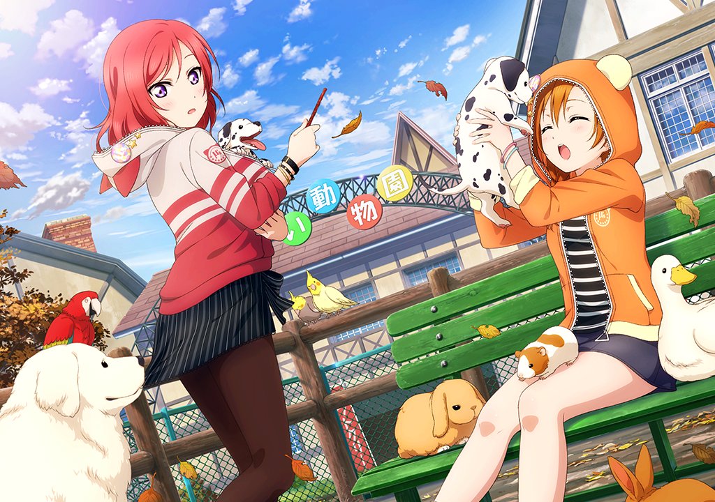 daily honoka ほ! tweet media