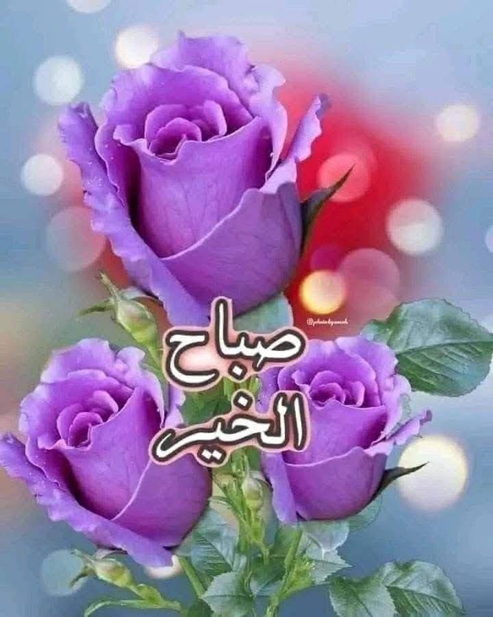 🦋🕊️❤️🇰🇼كويتاويه 🇰🇼 tweet media