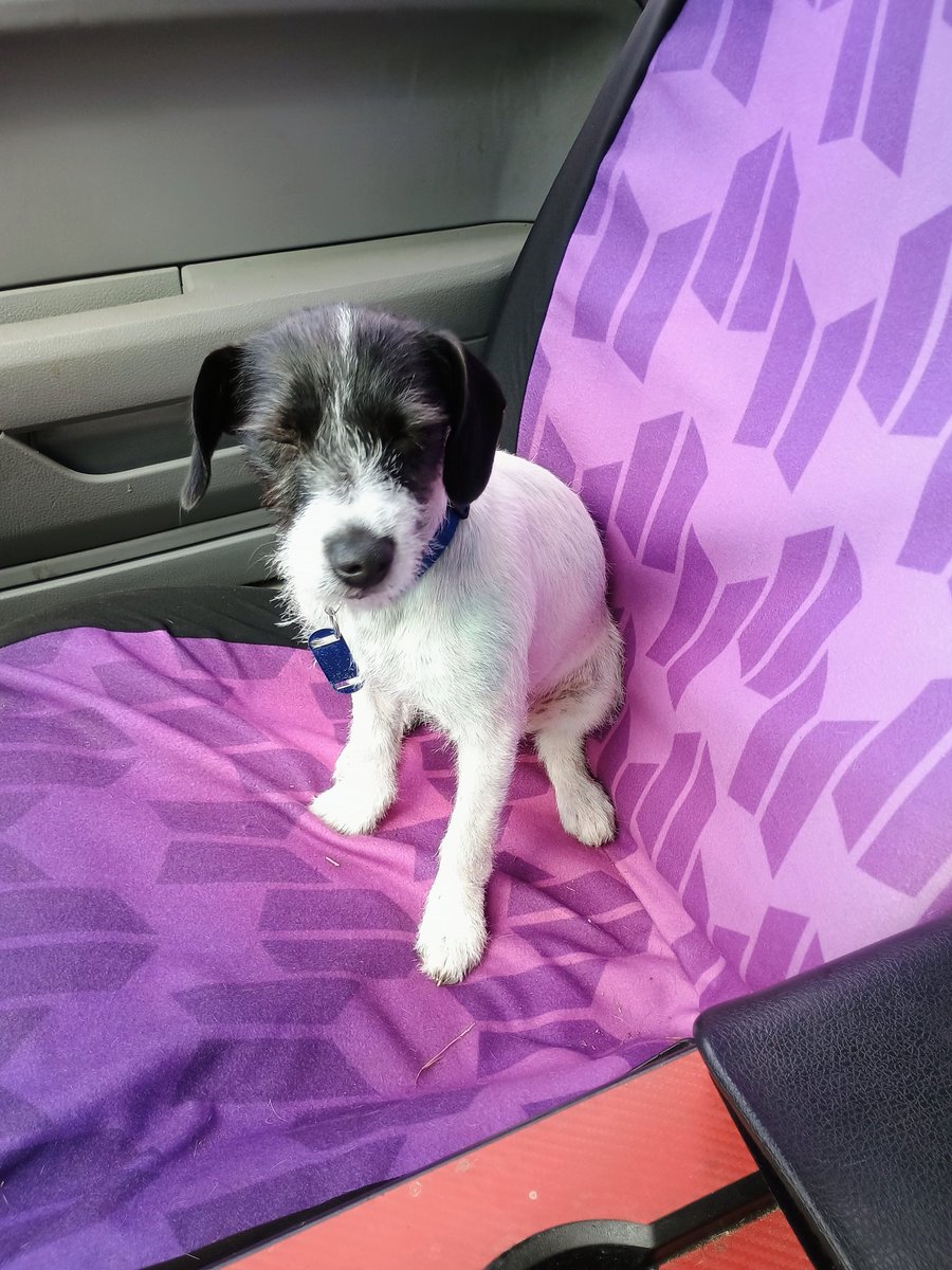 beautifulandark's tweet photo. My sweet Tacha girl https://t.co/vlhw7d2htZ