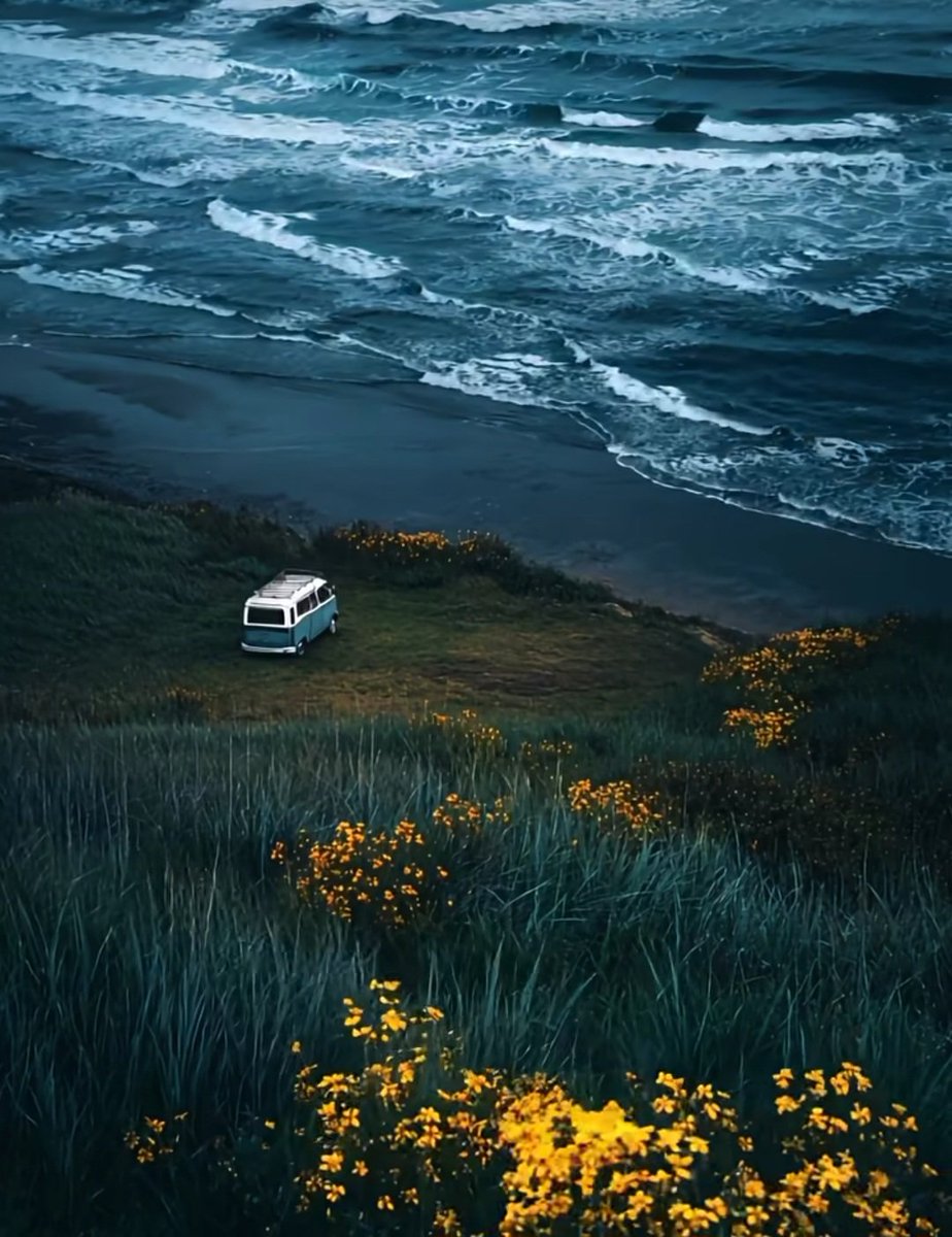 Diliniz başkalarını mahvediyorsa
Duanız sizi  kurtaramaz
Yeni güne bismillah
#Günaydı☕️🍀⛈️