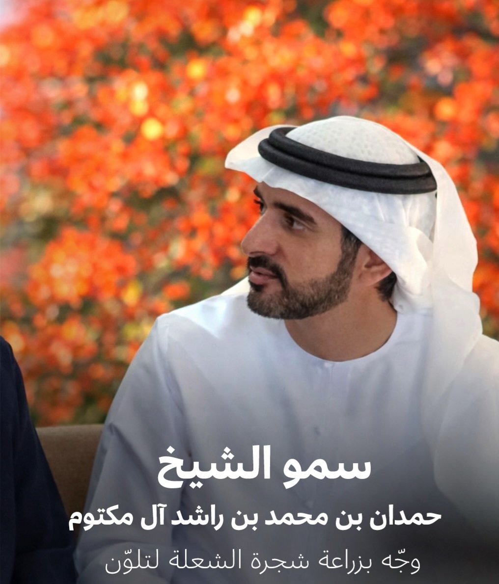 ِبلادي الإمـ🇦🇪ـارات tweet media